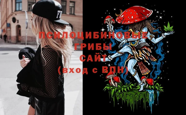 дживик Богородск