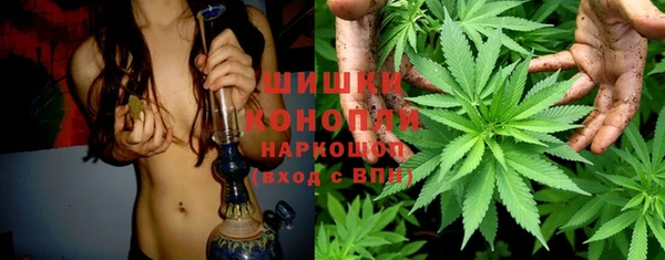 ALPHA PVP Богородицк