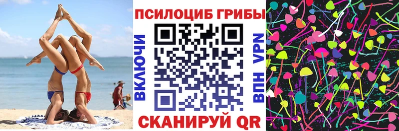 Галлюциногенные грибы мицелий  где продают наркотики  Оха 